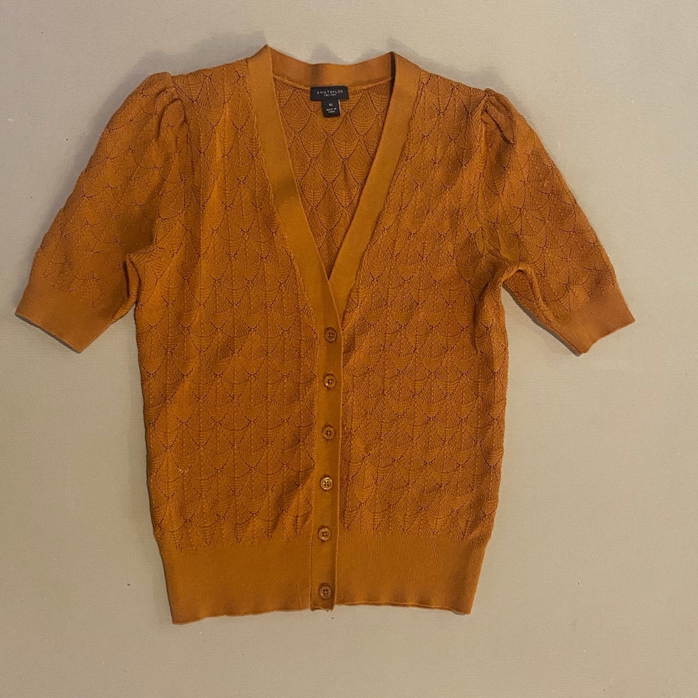 Ann Taylor XS
